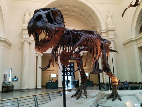 RailsConf 2014 - Field Museum - T-Rex